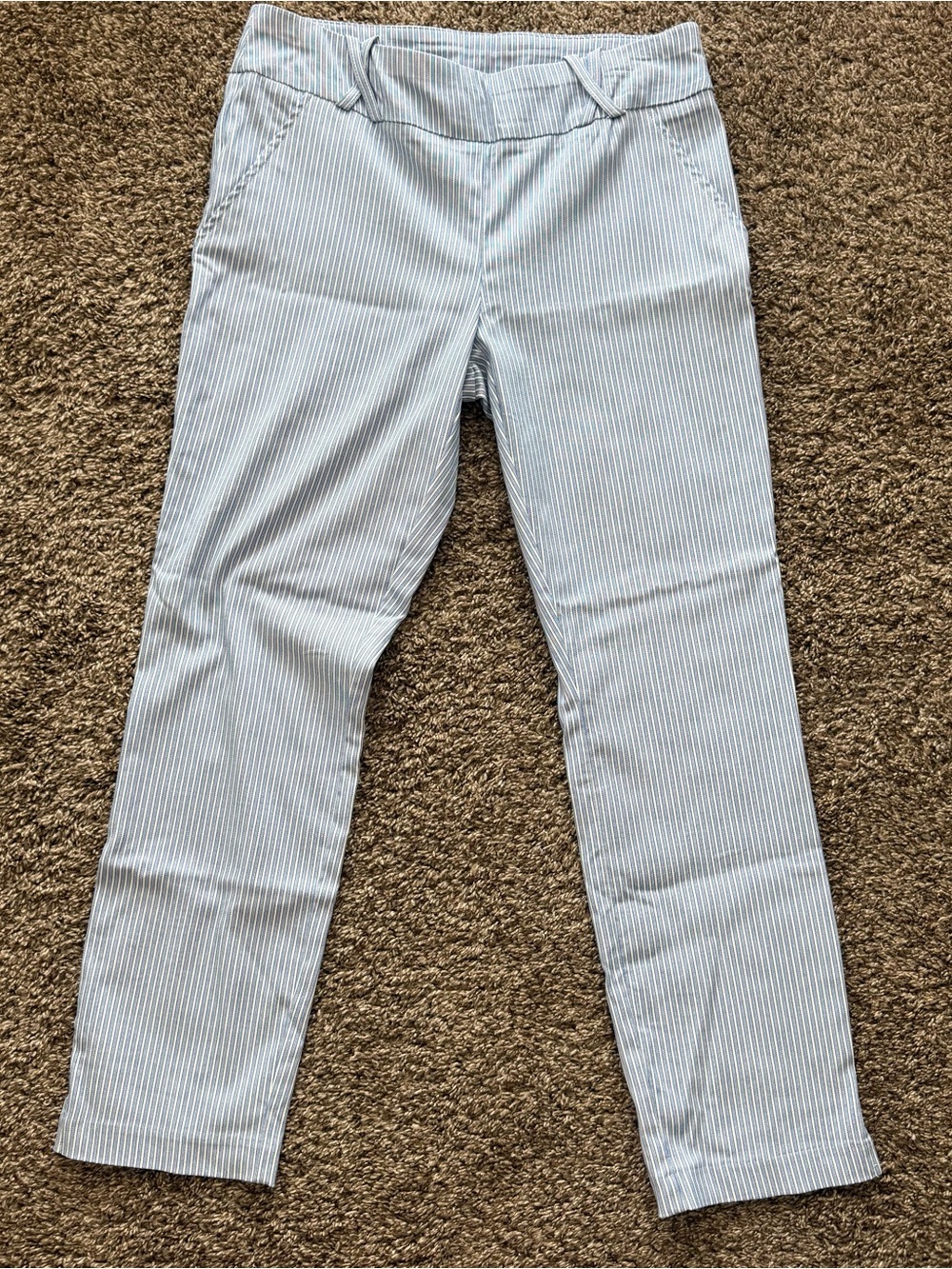 Joe B Women’s Light Blue Pinstripe Casual Pants - Size Large